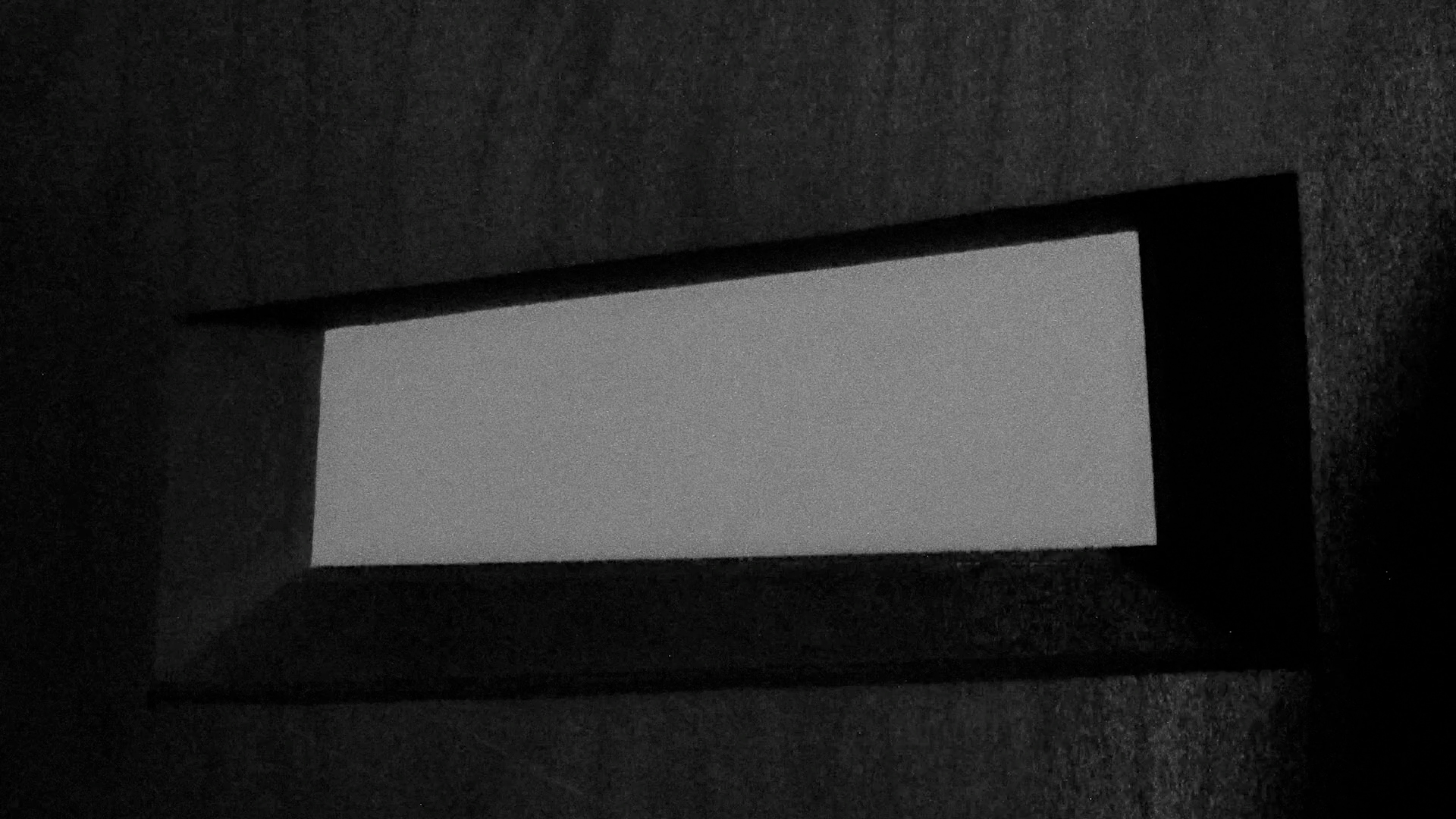 Diener zweier Herren