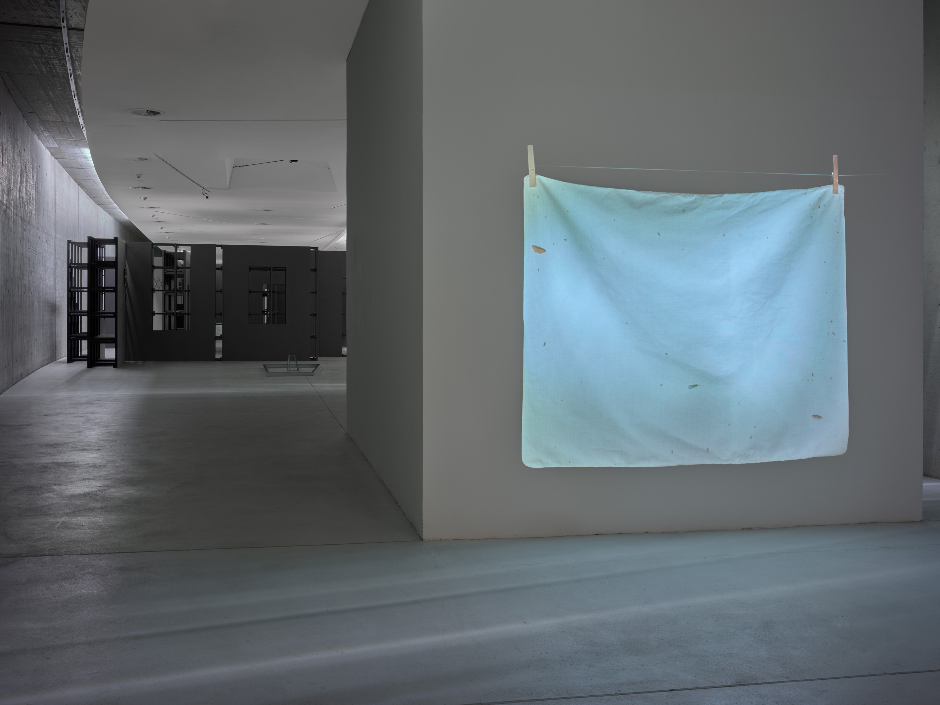 Diener zweier Herren